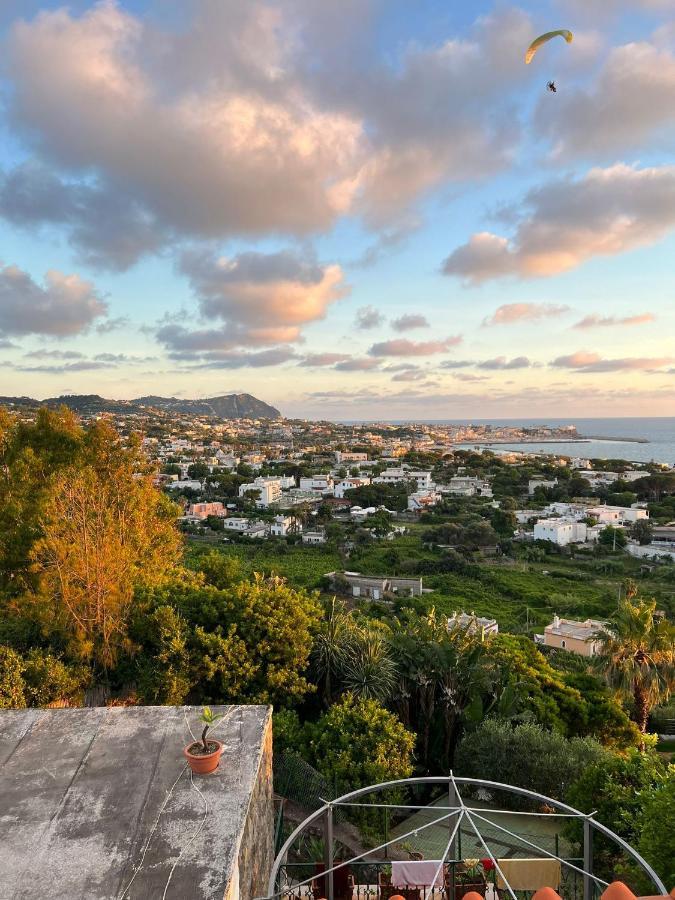 Blu Panorama Bed and Breakfast Forio di Ischia Exterior foto