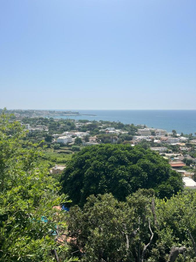 Blu Panorama Bed and Breakfast Forio di Ischia Exterior foto