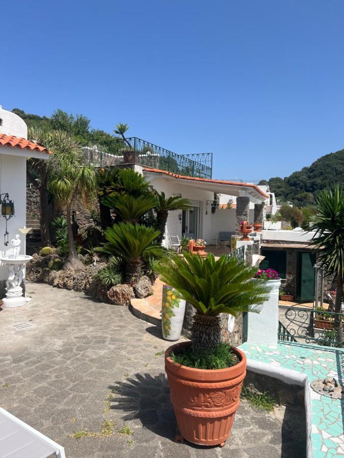 Blu Panorama Bed and Breakfast Forio di Ischia Exterior foto